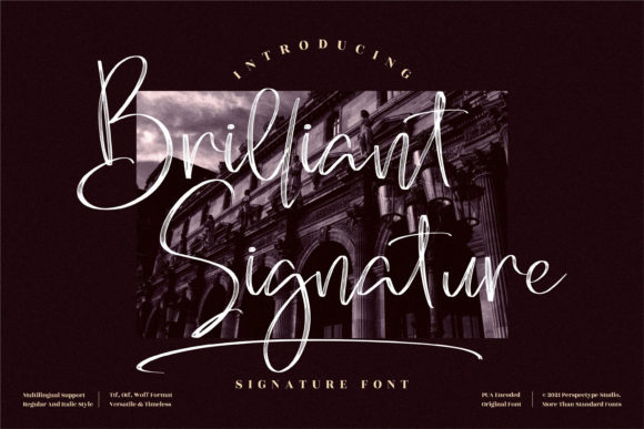 Brilliant Signature: A Modern Script for Elegant Design
