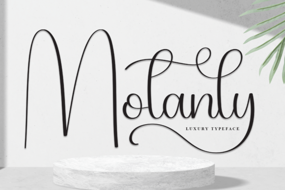 Motanly: Elevate Your Designs with Elegant Script Typography