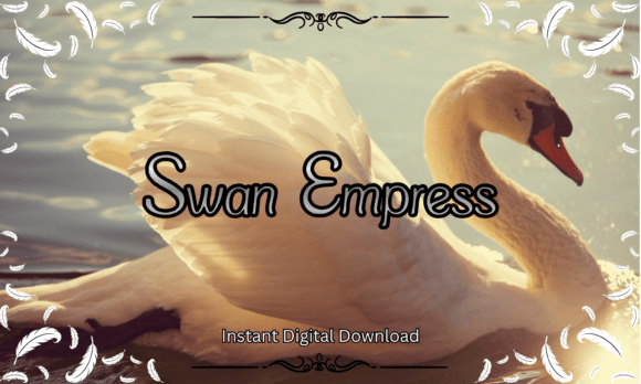 Swan Empress: Elevating Visual Design with Elegant Typography